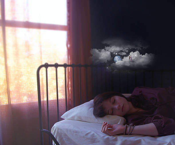Dream Rehearsal Theory for Survival