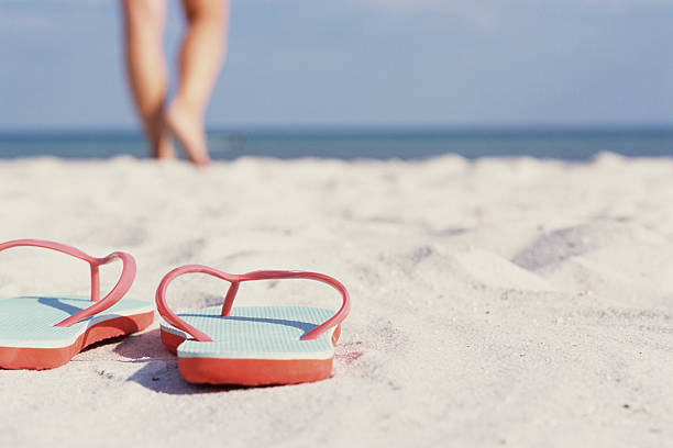 The Flip-Flop Switch in Your Hypothalamus