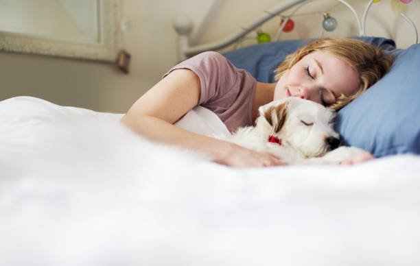 Pet Dander and Your Breathing Zone
