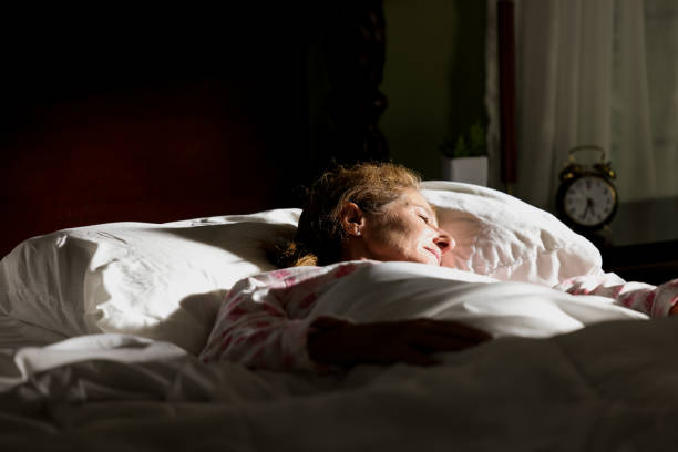 Sleep Spindles: The Brain’s Nighttime Filing System